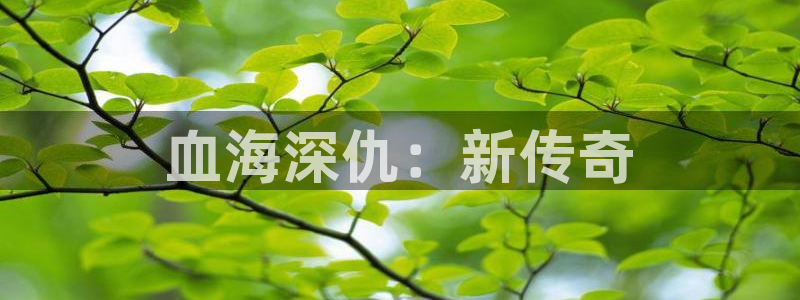999zyz玖玖資源站免費中文視頻